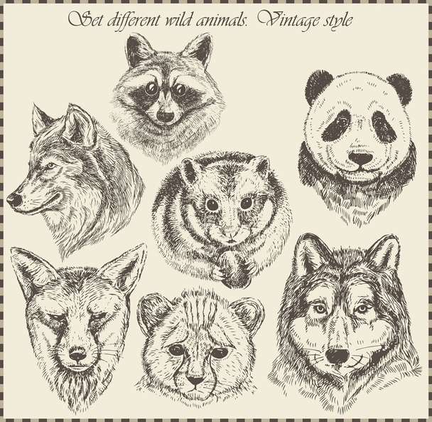 conjunto de vectores: diferentes animales salvajes - varios estilo vintage
. - Vector, Imagen