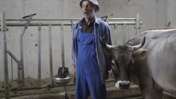 Senior farmer at farm - Felvétel, videó