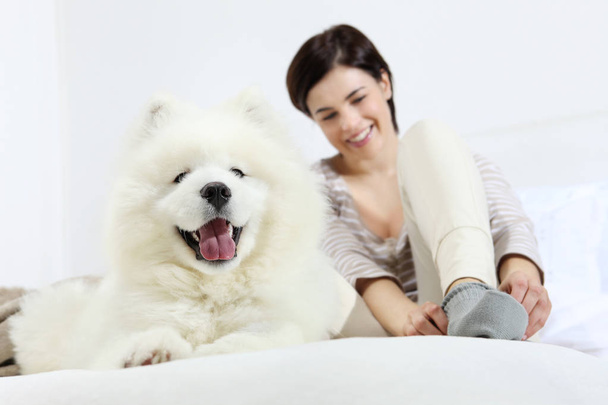Gülümseyen kadın ile evde beslenen hayvan köpek  - Fotoğraf, Görsel