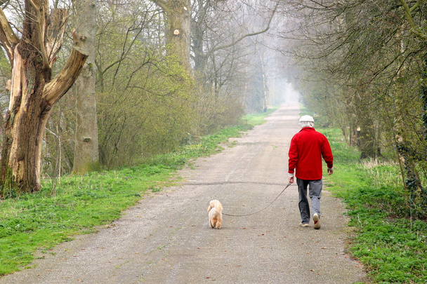 Homem cão de passeio
 - Foto, Imagem