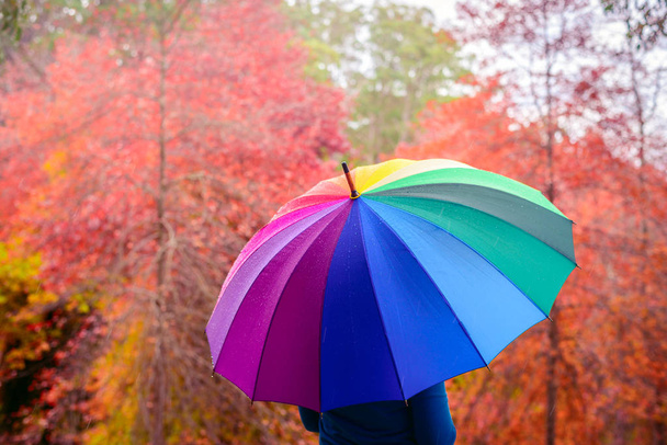 Frau steht unter buntem Regenschirm - Foto, Bild