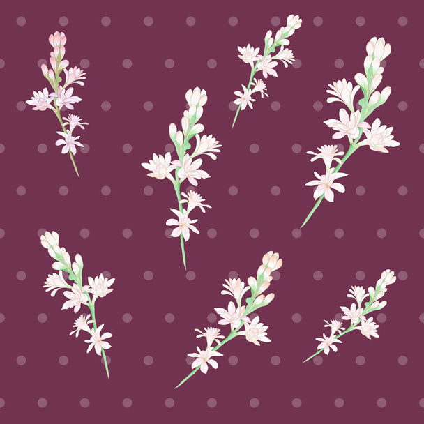  Tuberose Image medicinal, perfumery and cosmetic plants. Seamless pattern. - Vector, Image