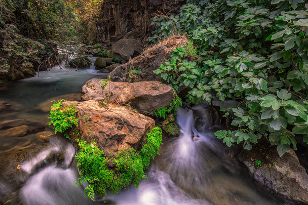 Flujo del río Banias
 - Foto, imagen