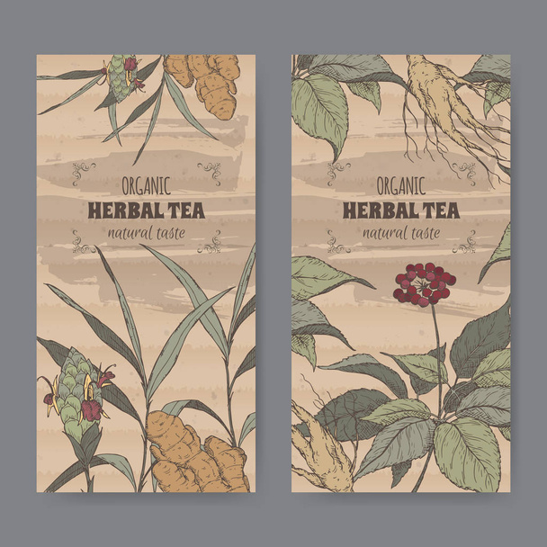 Two color vintage labels for ginger and ginseng herbal tea. - Vettoriali, immagini