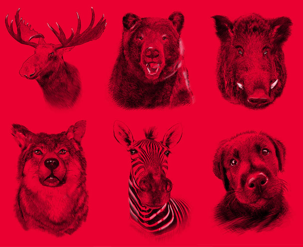 Set on animals on red background. Illustration in draw, sketch style.  - Photo, Image
