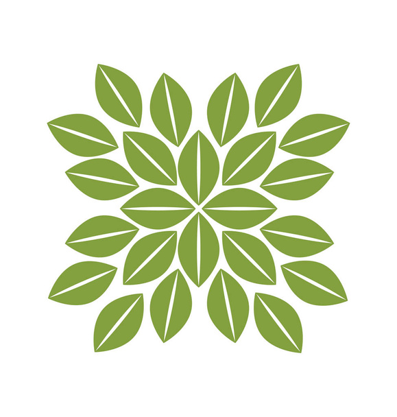 leafs plant isolated icon - Vector, imagen