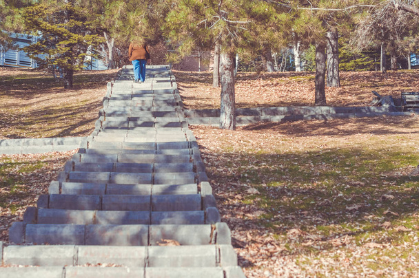 高齢者の女性が一人で公園の階段を登る - 写真・画像