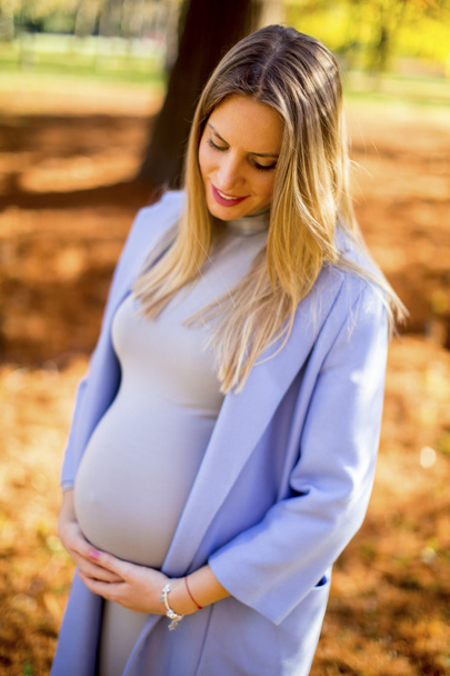 Pregnant woman posing in the park - Photo, Image