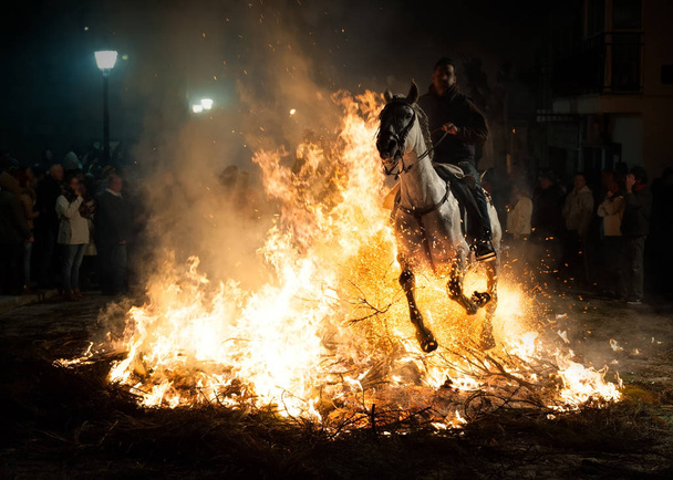 Άλογα άλματα πάνω από τη φωτιά χωρίς φόβο - Φωτογραφία, εικόνα