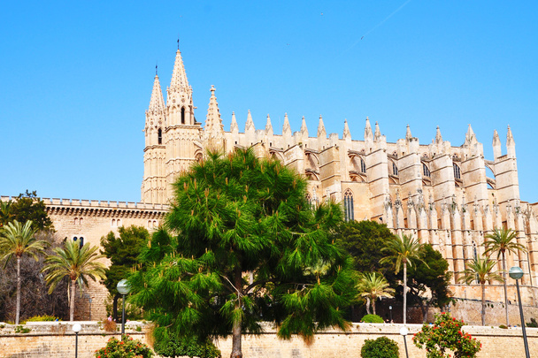 Katedrála v palma de Mallorca - Fotografie, Obrázek
