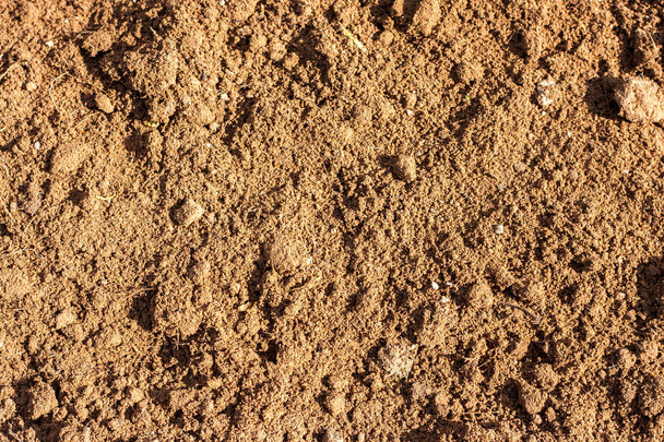 Brown Ground texture  - Foto, Bild