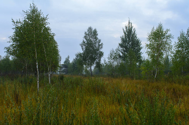 Fog in the field, road, Belarus, Brest region, September, autumn, morning, dawn, - Фото, зображення