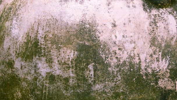 concrete with moss textured background - Photo, Image