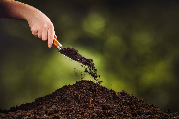 Hand pouring black soil on green plant bokeh background - Zdjęcie, obraz