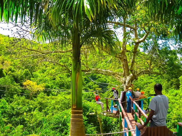 Kobieta będzie w dżungli zipline przygodę w Antigua rainforest - Zdjęcie, obraz