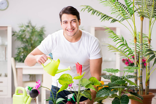 Мужчина ухаживает за растениями дома
 - Фото, изображение