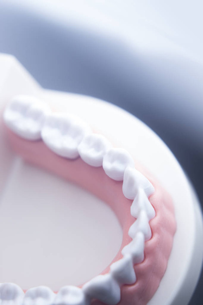 Fogászati fogak fogászat modell - Fotó, kép