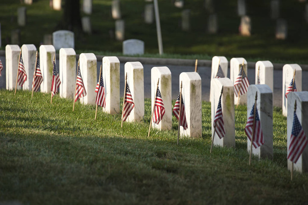 Marcadores de tumbas con banderas en el cementerio nacional de Arlington en Memor
 - Foto, Imagen