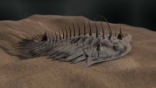 illustration 3D trilobite préhistorique
 - Photo, image