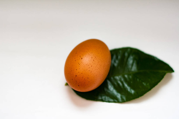 Village chicken eggs - Фото, изображение