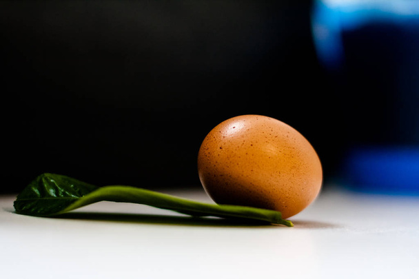 Falusi csirke tojás - Fotó, kép