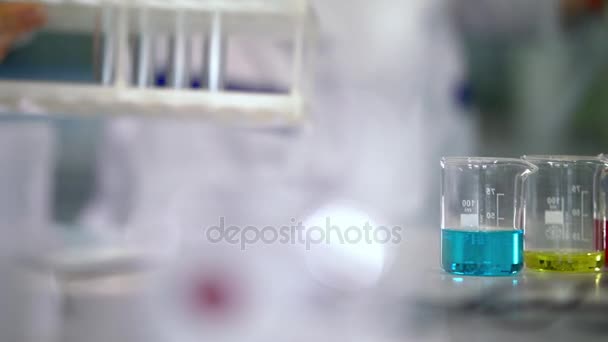 Labor munkás kémcsövek rack fel a laboratóriumi asztalon. Laboratóriumi üvegeszközök - Felvétel, videó