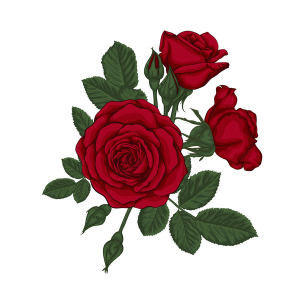 όμορφο μπουκέτο με κόκκινα τριαντάφυλλα και φύλλα. Σύνθεση λουλουδιού. - Διάνυσμα, εικόνα