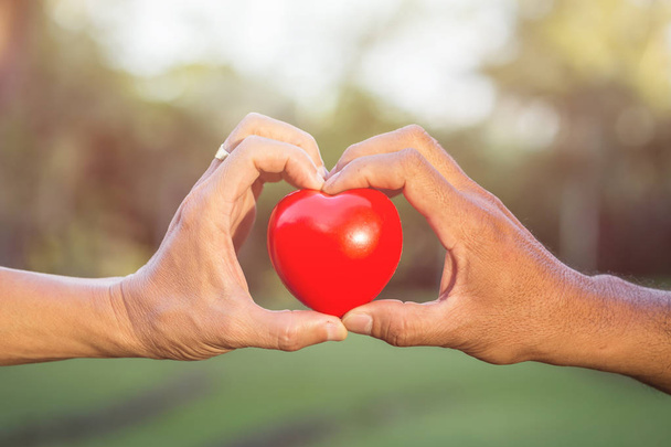 Рука старика с красным сердцем в парке с зеленым боке
  - Фото, изображение