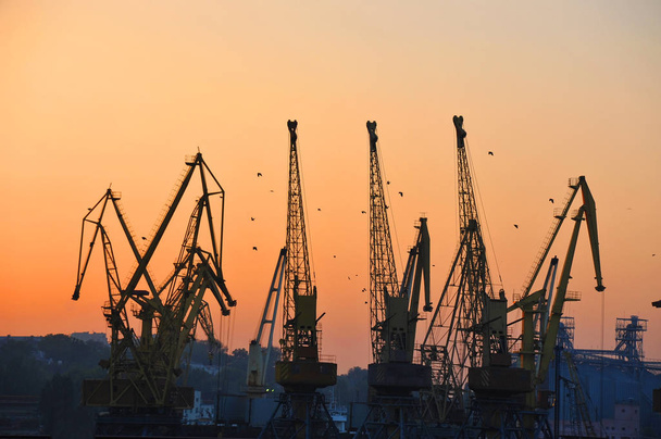 Port cargo crane at sunset - Photo, Image