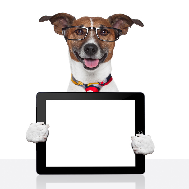 Business dog tablet pc ebook touch pad - Photo, Image