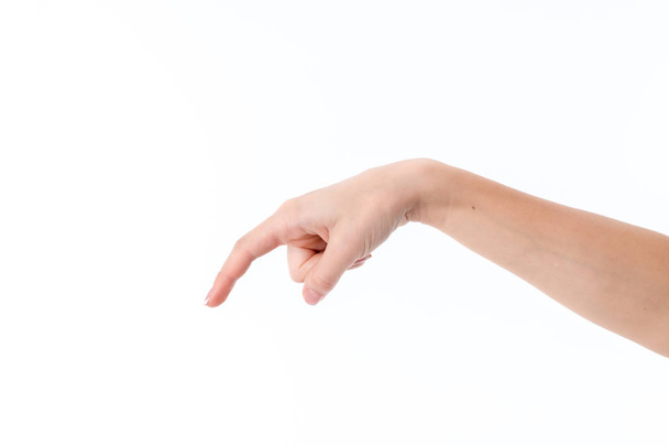mano femenina con las palmas bajadas y el dedo índice aislados sobre fondo blanco
 - Foto, Imagen