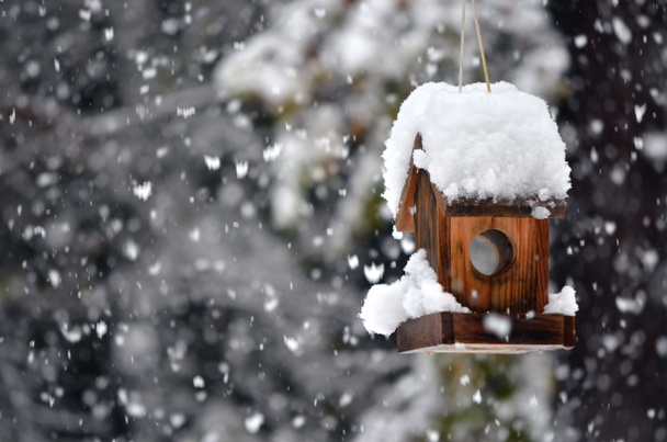 птичий домик зимой - Фото, изображение