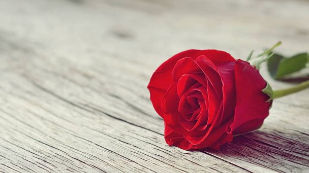 Rose rose op oude houten achtergrond vintage stijl - Foto, afbeelding