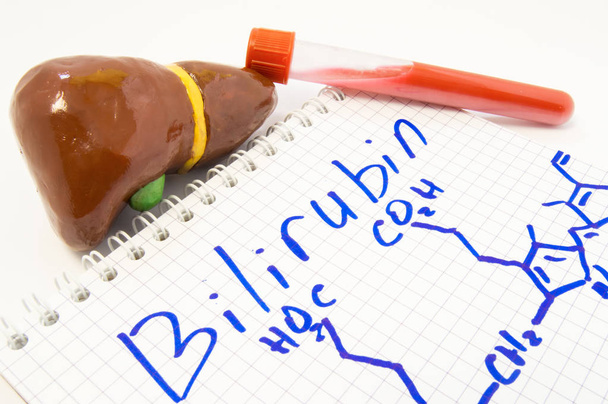 Bilirubin, liver and blood. Model of liver with gallbladder, lab test tube with blood lying on note on which drawn bilirubin and chemical formula. Concept for test or research bilirubin level in blood - Photo, Image