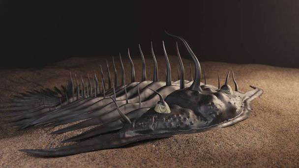 prehistorische trilobiet 3d illustratie - Foto, afbeelding