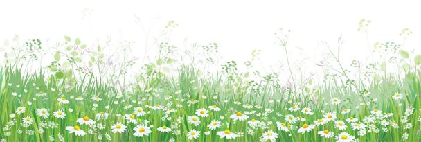 鎮静と夏の草原 - ベクター画像