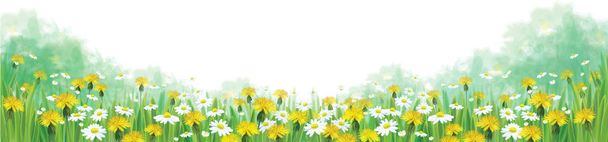 zomer weide met chamomiles - Vector, afbeelding