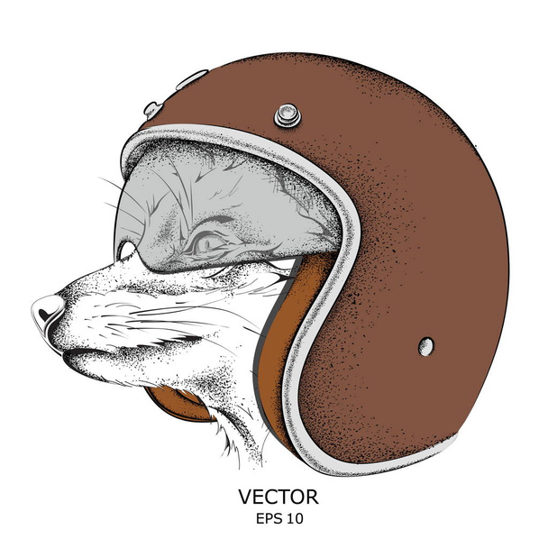 Fox in a motorcycle helmet. Vector illustration - Вектор,изображение