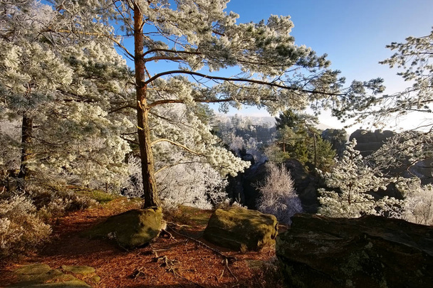 Montagne di arenaria dell'Elba in inverno
 - Foto, immagini