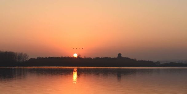 Cisnes voladores, Puesta del sol, Torre, Lago
 - Foto, imagen