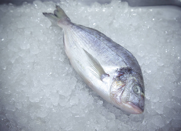 Fresh fish on a surface of pile of ice in fish restaurant. Selec - Valokuva, kuva