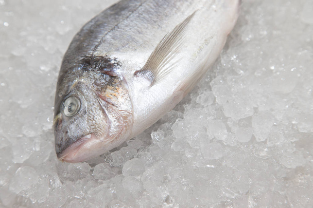 Pescado fresco en una superficie de montón de hielo en el restaurante de pescado. Selec
 - Foto, Imagen