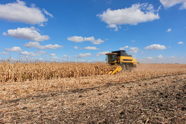 betakarítás mező össze harvester kukorica termés mezőgazdasági technológia - Fotó, kép
