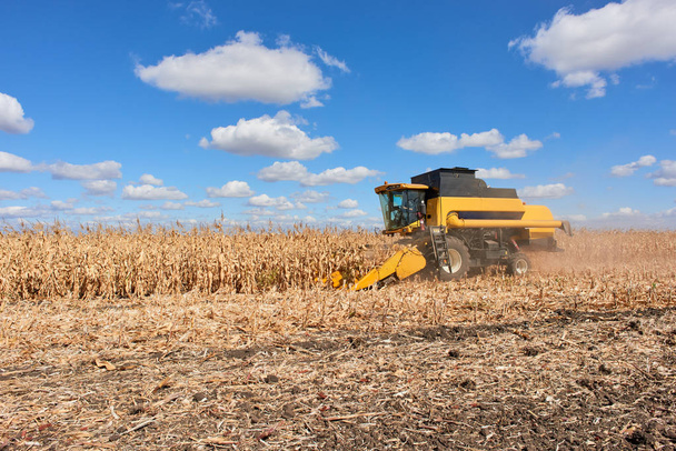 Harvest pola łączą kombajn do kukurydzy upraw rolniczych technologia - Zdjęcie, obraz