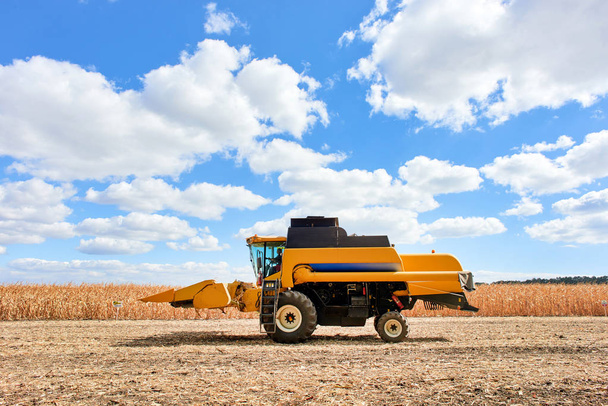 cosecha campo combinar cosechadora maíz cultivo tecnología agrícola
 - Foto, imagen