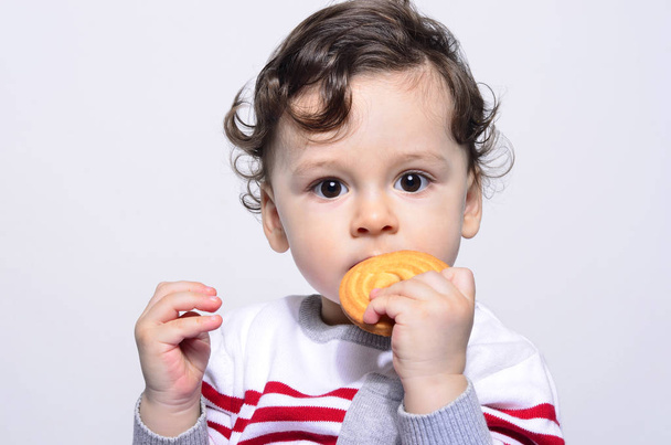 Portrait of a cute baby eating a biscuit.  - Fotografie, Obrázek