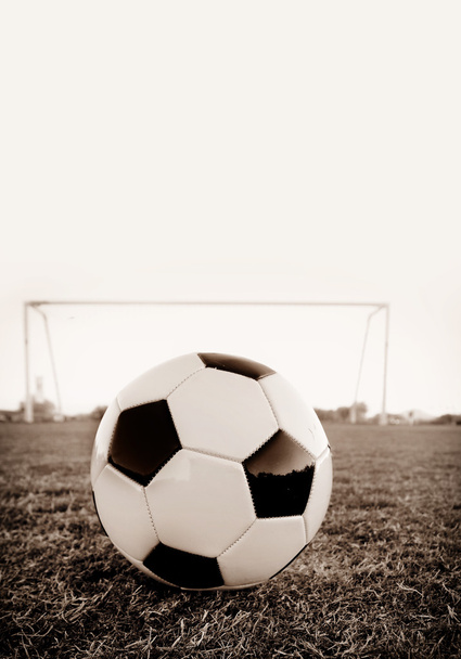 Soccer football with goal net in background - Foto, Imagen