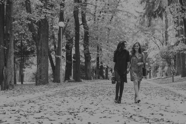Walk girlfriends in autumn park - Photo, Image