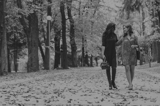 Walk girlfriends in autumn park - Fotó, kép