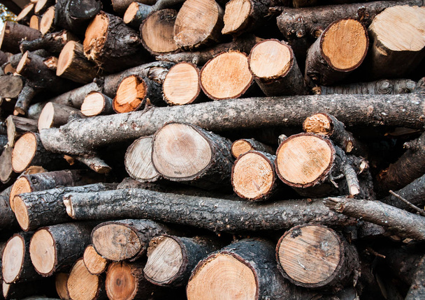 wood pile texture - Photo, Image